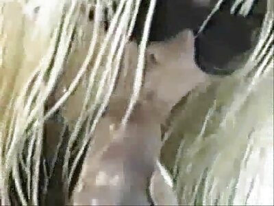 Cica amatőr erotikus videók vadász nagy cicik kemény ébenfa fasz